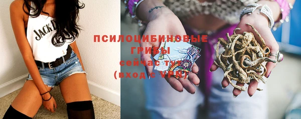 Альфа ПВП Аркадак