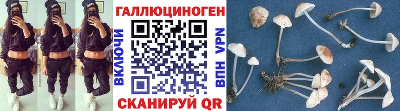 Псилоцибиновые грибы Psilocybe  хочу наркоту  Дедовск 