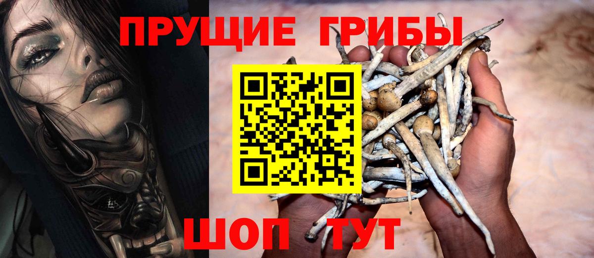 Галлюциногенные грибы Cubensis  Вход с VPN  где продают   Галлюциногенные грибы ЛСД  Дедовск 